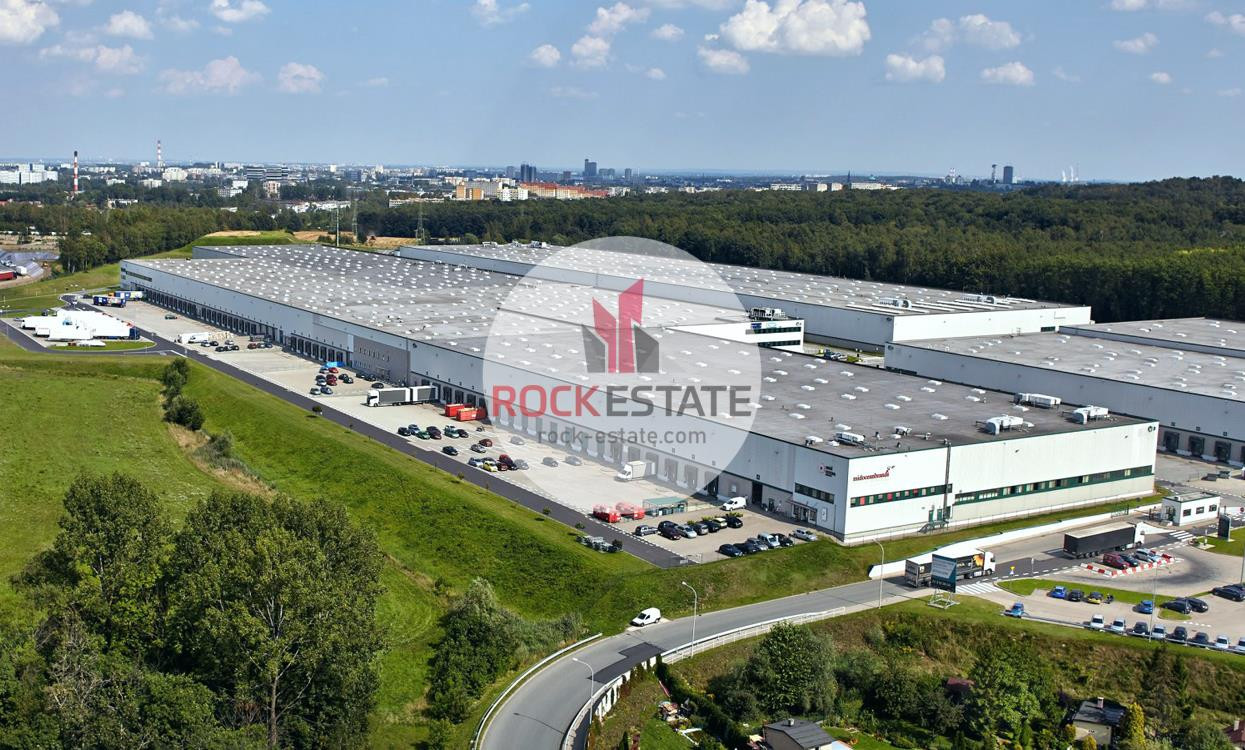 Magazyn 2,3 tyś m2 w Chorzowie od zaraz - 0% - Widok 2