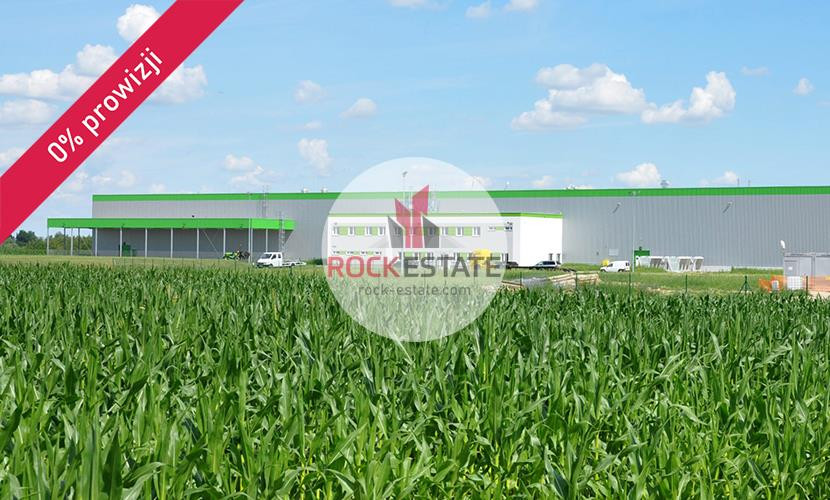 Magazyn 8064 m² z biurem od zaraz - 0% prowizji - Widok 5