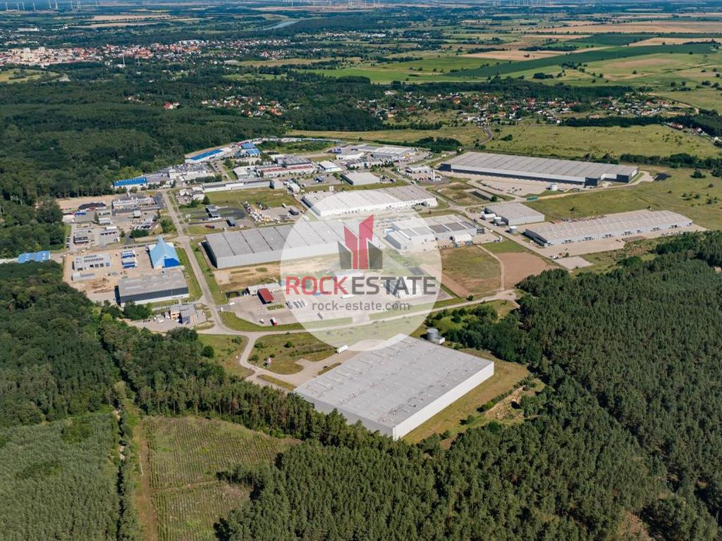 Magazyn 15 tyś. m2 Słubice - od zaraz - 0% prow - Więcej