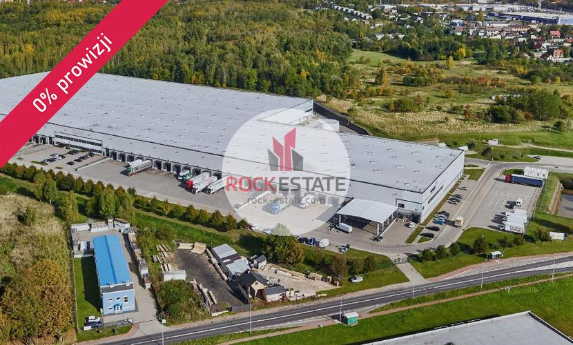 Magazyn 4405 m² na wynajem w Sosnowcu - od zaraz - Widok 3