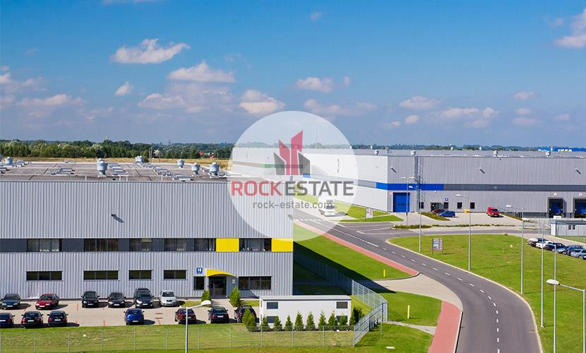 Magazyn wynajem Koninko 1708 m² - 0% prowizji - Widok 4