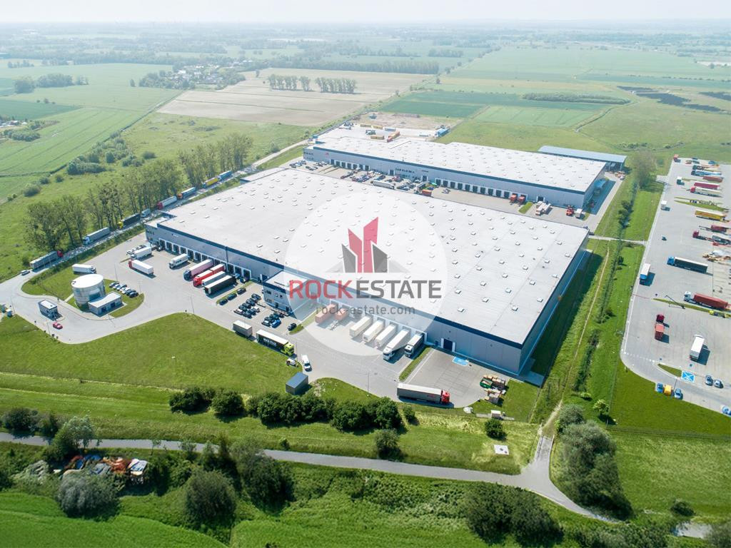 Magazyn 8 tyś m2 Gdańsk - 0% prowizji - Widok 3