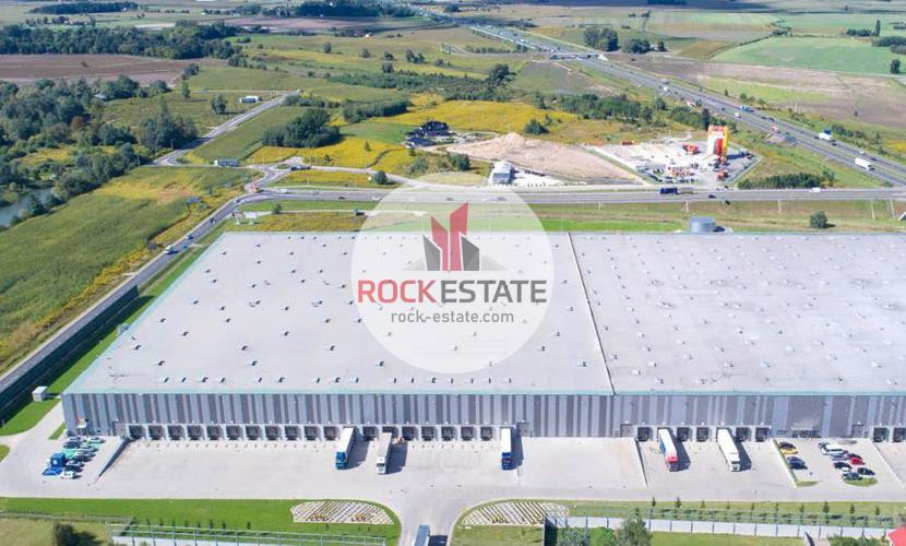 Magazyn 4000 m² - obsługa logistyczna - Natolin - Widok 4