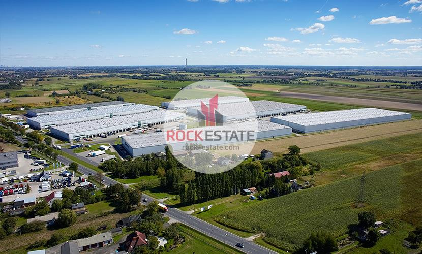 Magazyn od zaraz Błonie-Kopytów 7tyś m2 - 0% prow - Więcej