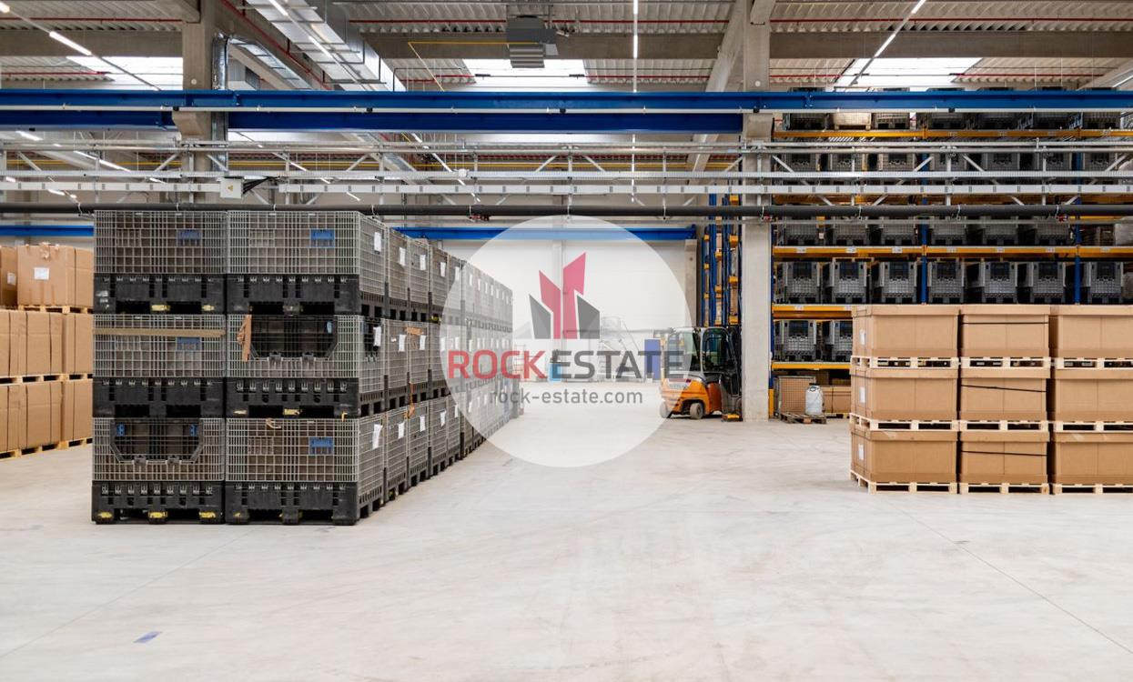 Magazyn 4690 m² w Zabrzu - 0% prowizji - Widok 4