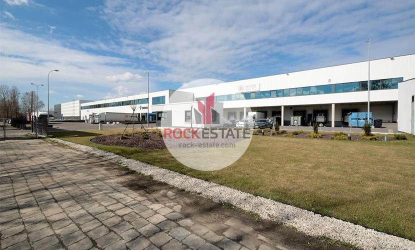 Magazyn na wynajem 1563 m² od maja - 0% prow - Widok 2