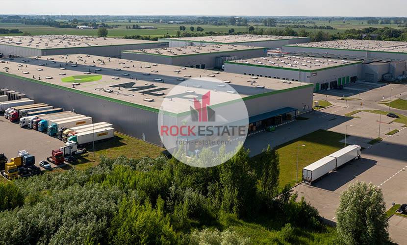 Magazyn w Brwinowie 5710 m² od zaraz - 0% prowizji - Widok 3