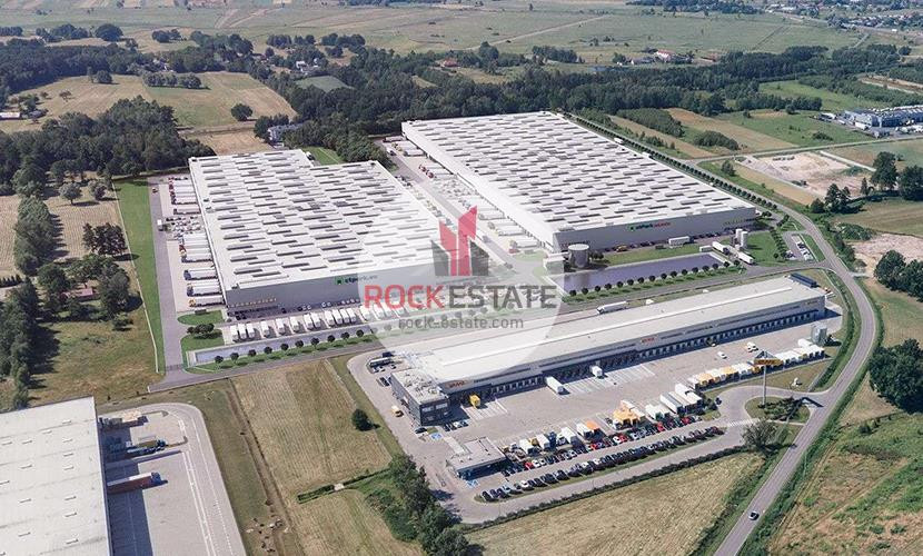 Nowy magazyn 5300 m² w Emilianowie - 0% prowizji - Widok 4