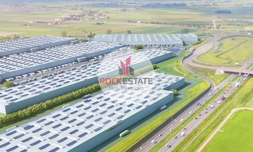 Nowy magazyn 7000 m² na wynajem - 0% prowizji - Widok 5
