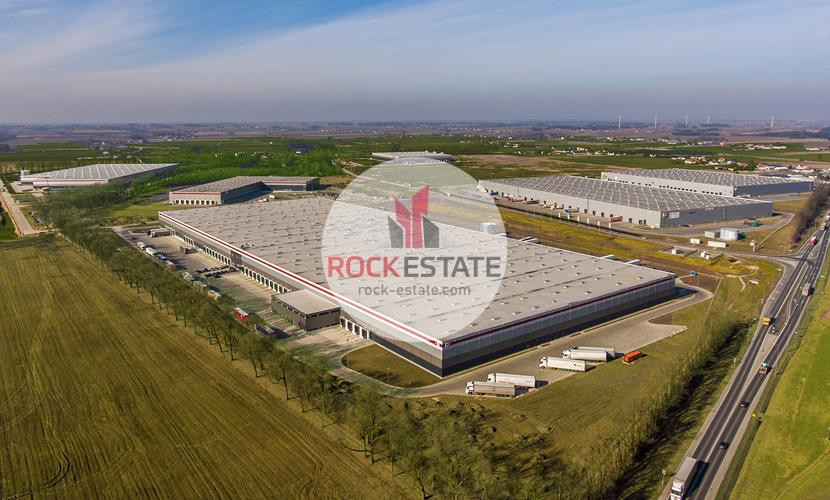 Magazyn pod Piotrkowem 5920 m² - 0% prowizji - Widok 3