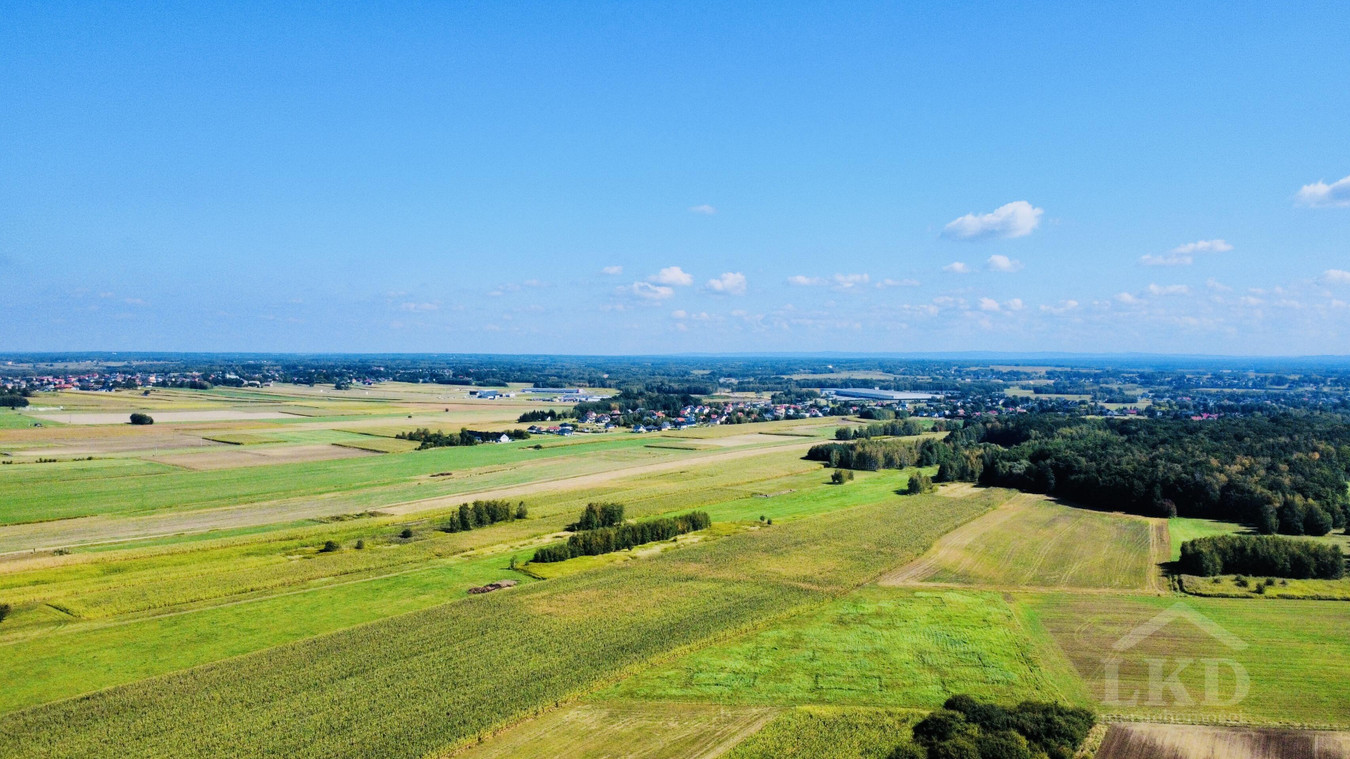 Pawęzów – działka 9,33 ar, WZ, zielona okolica, kilka km od Tarnowa, - Widok 5