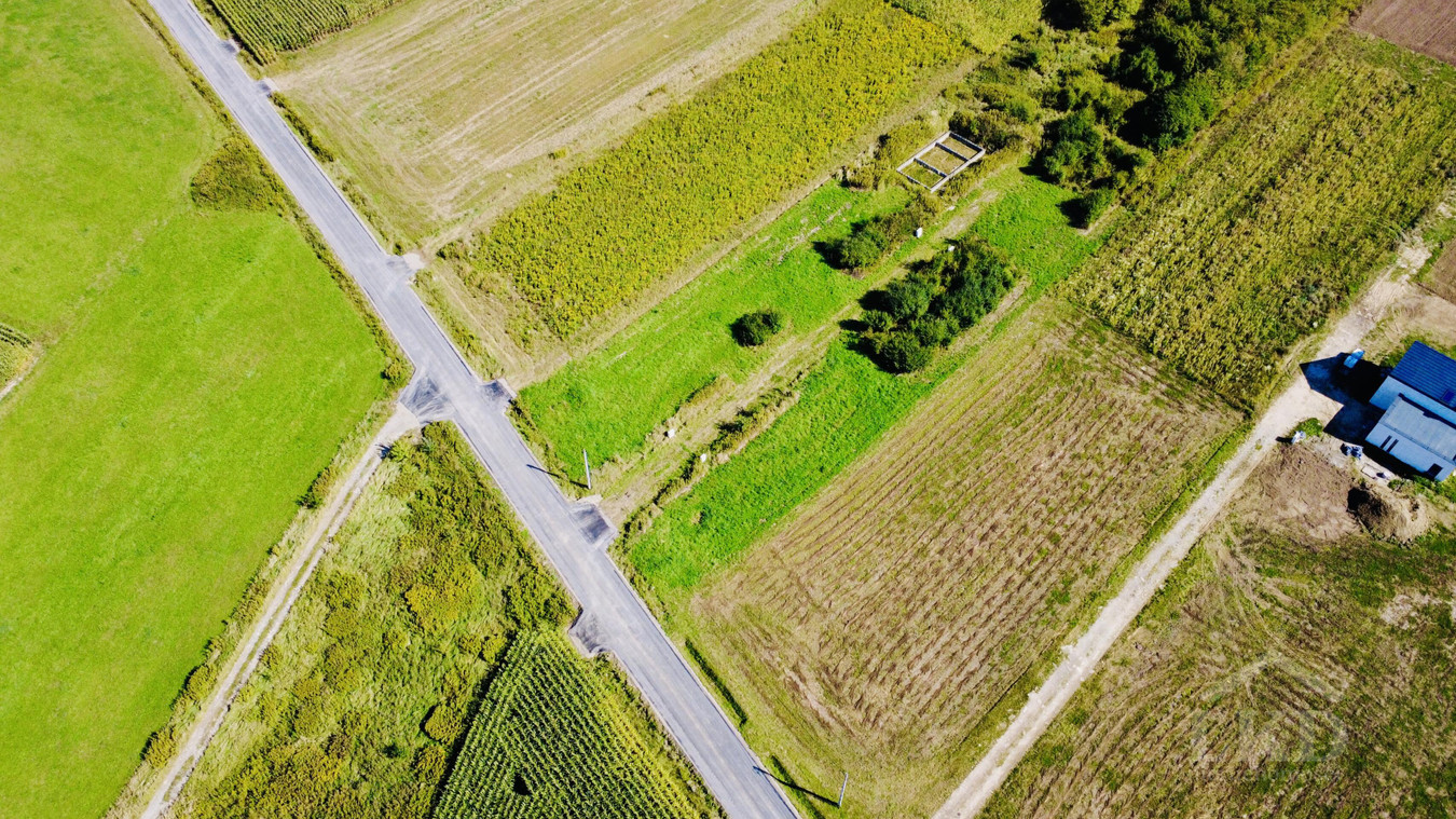 Pawęzów – działka 9,33 ar, WZ, zielona okolica, kilka km od Tarnowa, - Widok 4