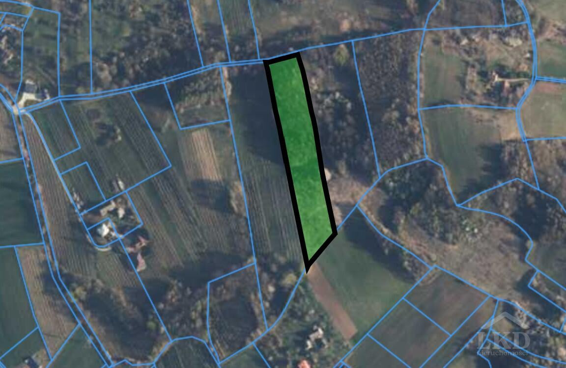 Janowice – 1,18 ha las i pastwiska | 69 000 zł - Widok 4