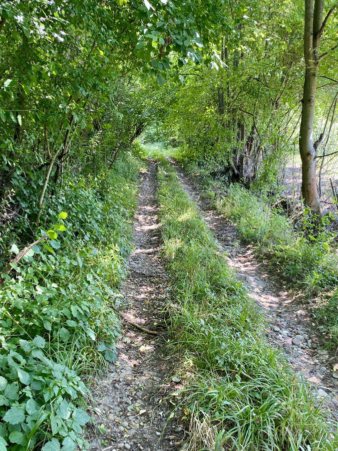 Janowice – 1,18 ha las i pastwiska | 69 000 zł - Widok 2