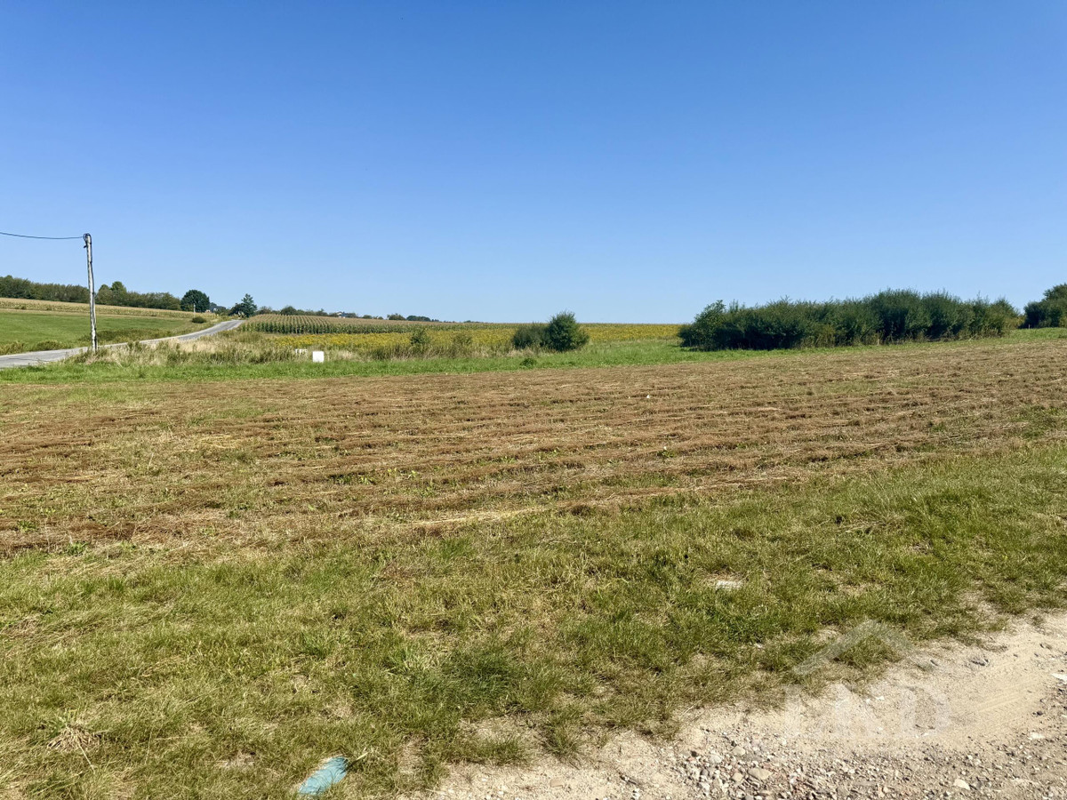 Pawęzów – działka 9,33 ar, WZ, zielona okolica, kilka km od Tarnowa, - Widok 2