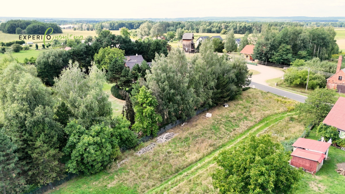 Działka budowlana Dolinia Baryczy/ Milicz Duchowo - Widok 4