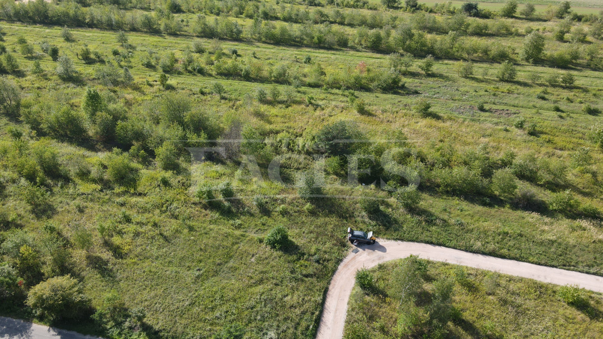 Działka 2701 m² | Dziekanów Polski | Łomianki - Widok 5