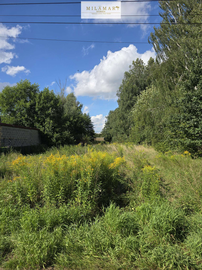 Działka 3054 m² z pozwoleniem na budowę | Grodzisk Mazowiecki - Widok 2