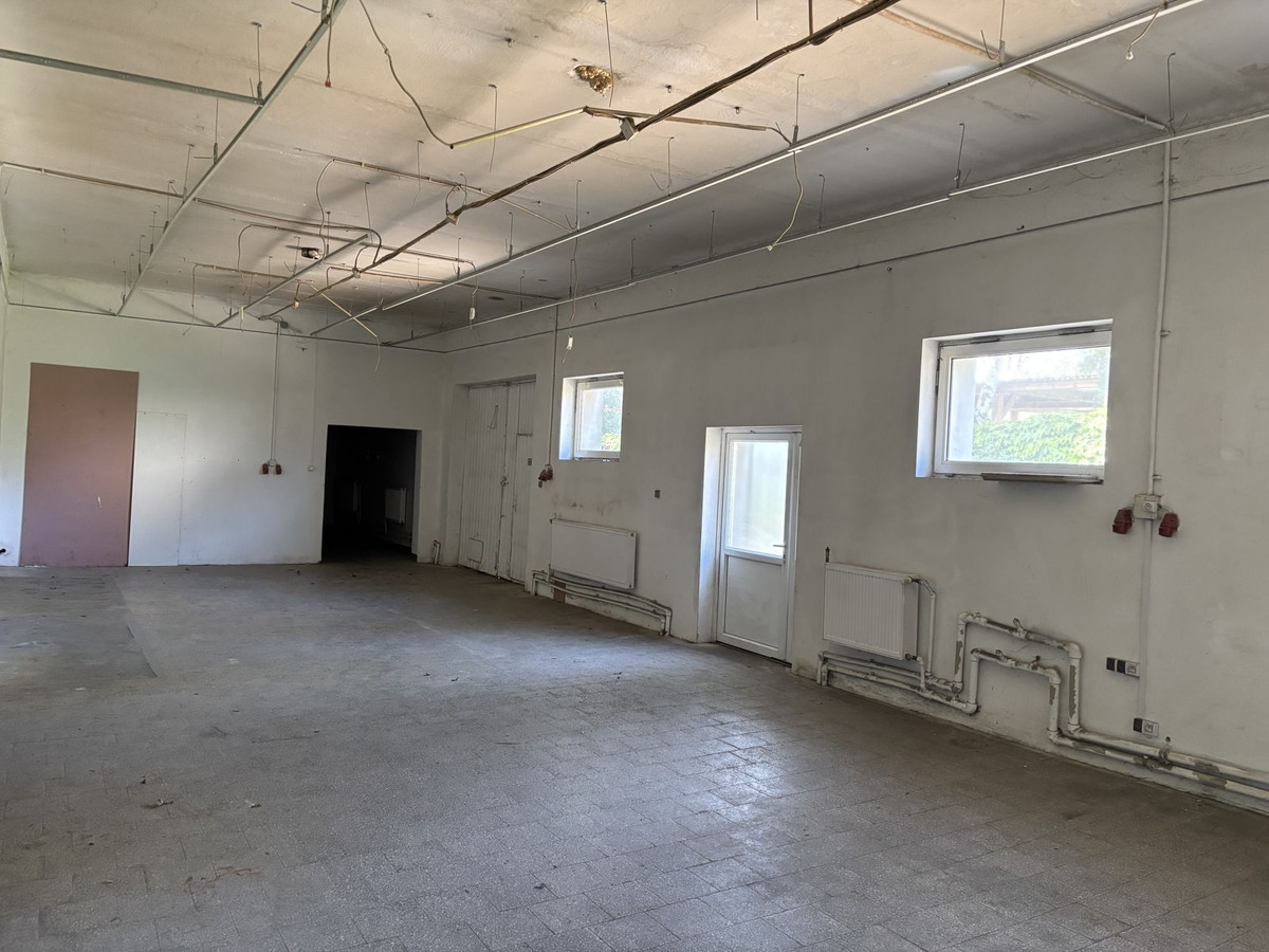 Lokal użytkowy, hala produkcyjna 238 m² - Widok 4
