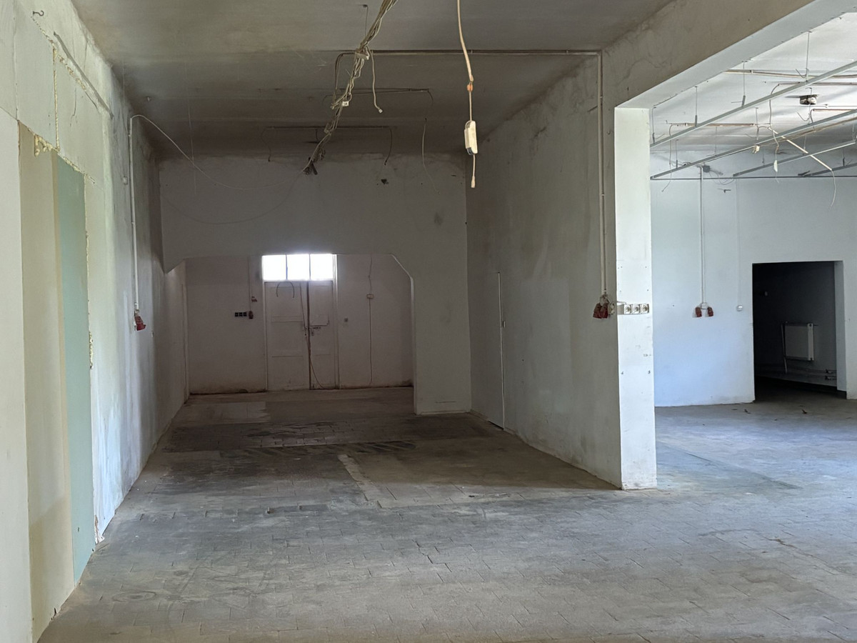 Lokal użytkowy, hala produkcyjna 238 m² - Widok 3