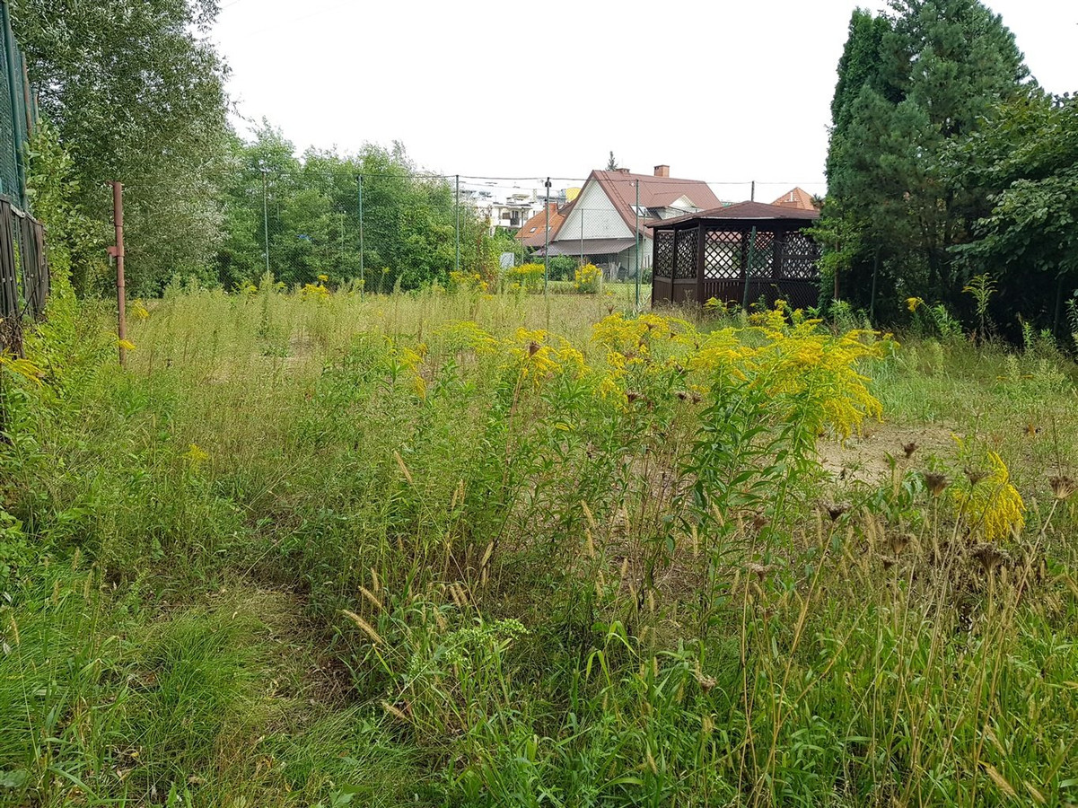 Dom – Białystok, Dziesięciny II - Widok 3