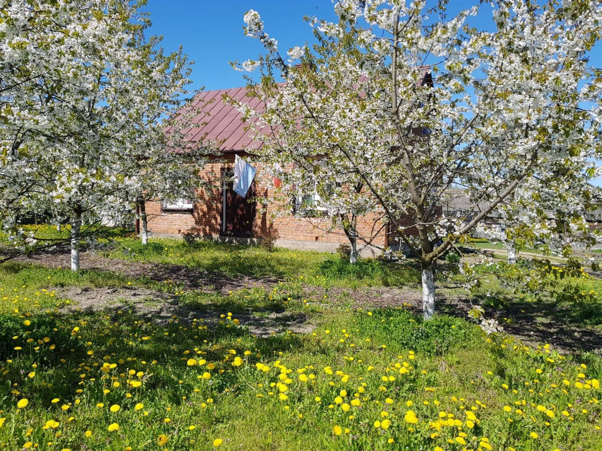 House in Drohiczyn, powiat siemiatycki - Widok 3