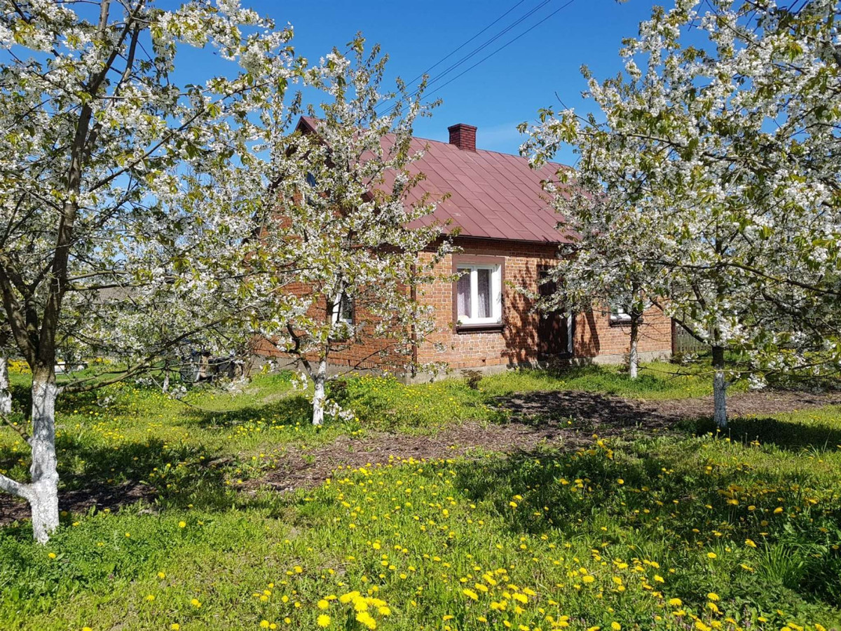 House in Drohiczyn, powiat siemiatycki - Widok 4
