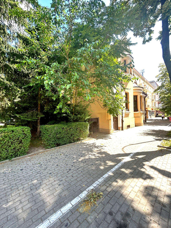 PRESTIŻOWY ADRES. GOTOWY BIZNES. DUŻY POTENCJAŁ - Widok 4