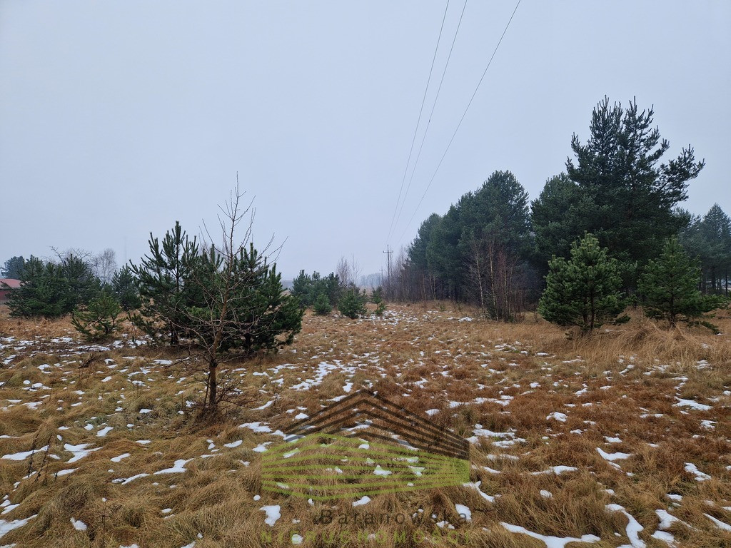 Działka budowlana w Łośnie - Widok 2