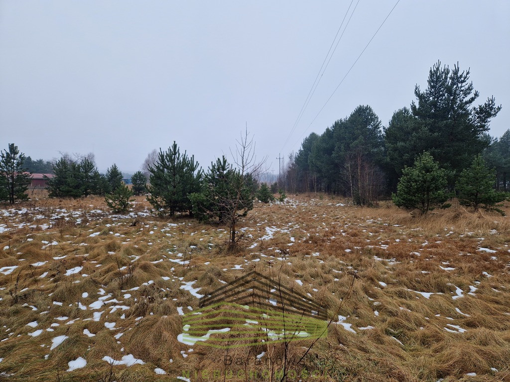 Działka budowlana w Łośnie - Widok 5