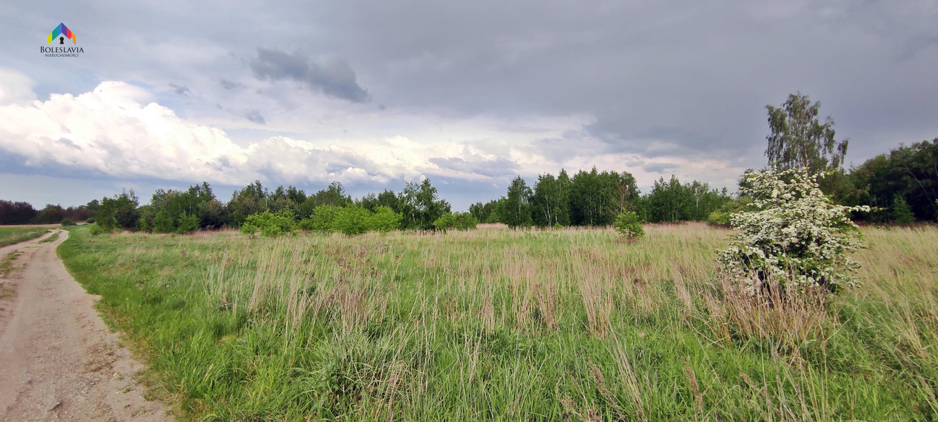 Działka przemysłowo-usługowa, inwestycyjna,Wykroty - Więcej
