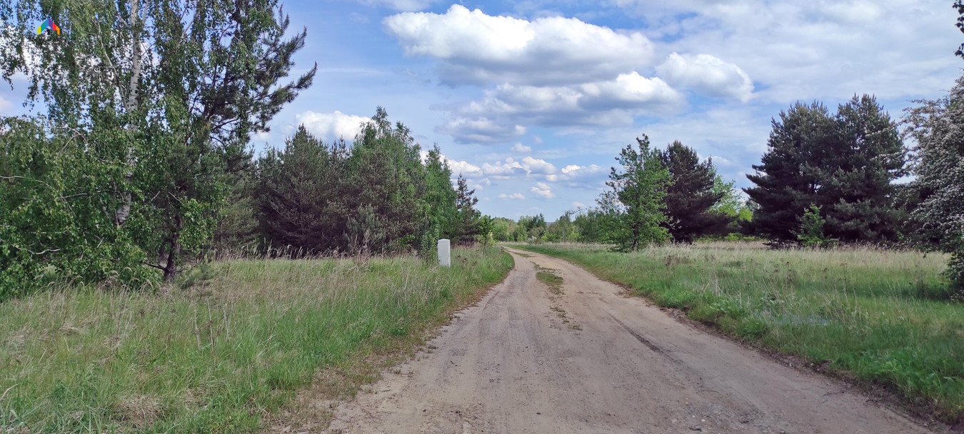 Działka przemysłowo-usługowa, inwestycyjna,Wykroty - Widok 5