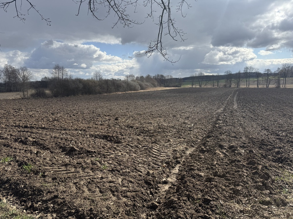 Działka rolna 0,56ha Słupice - Widok 3
