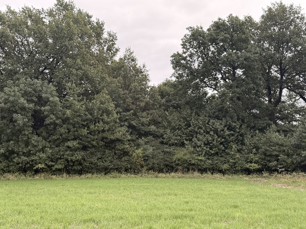 Działka rolno-leśna dla Prepersa - Widok 3