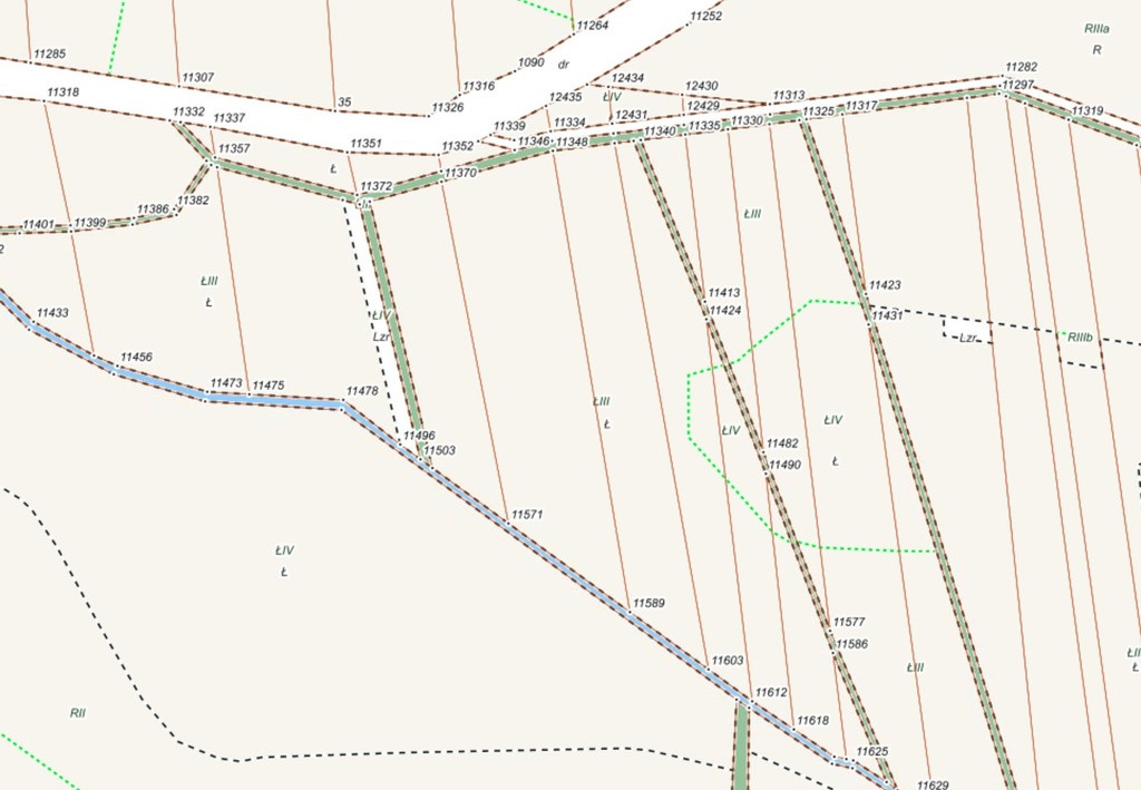 Działka rolna 0,56ha Słupice - Widok 4