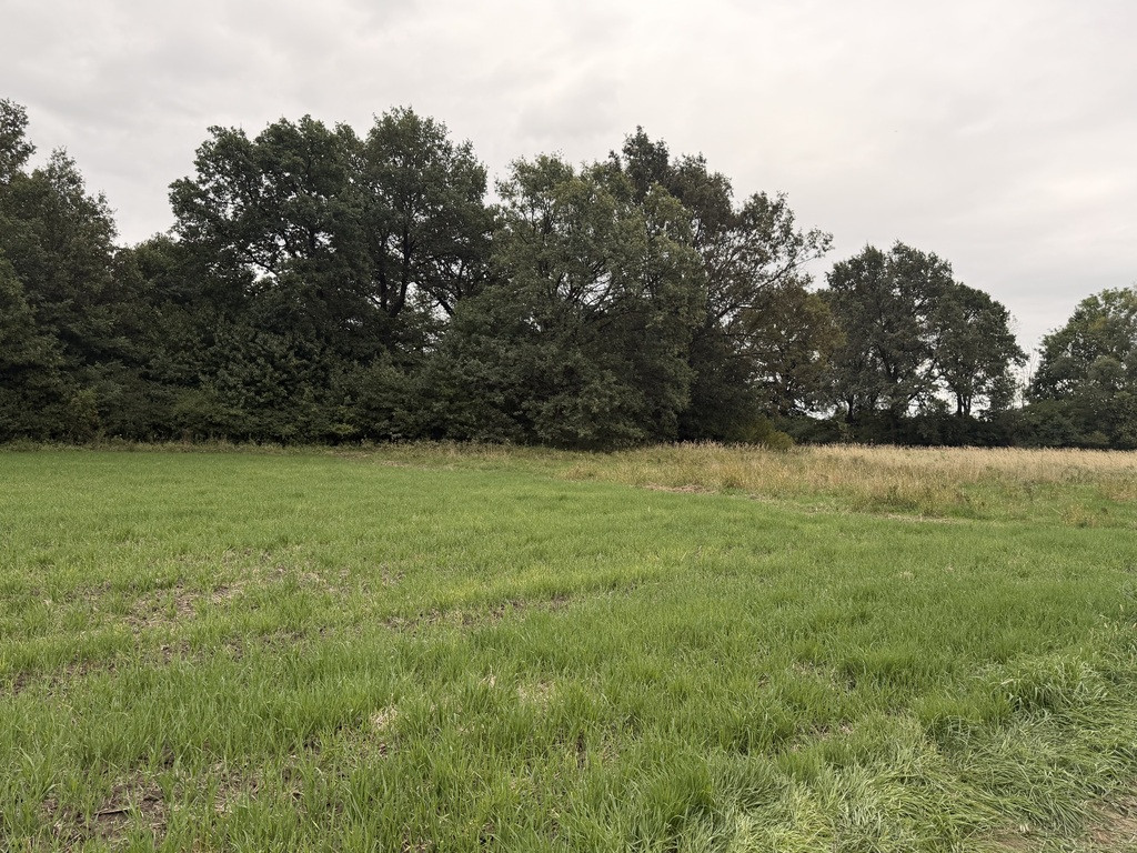 Działka rolno-leśna dla Prepersa - Widok 5