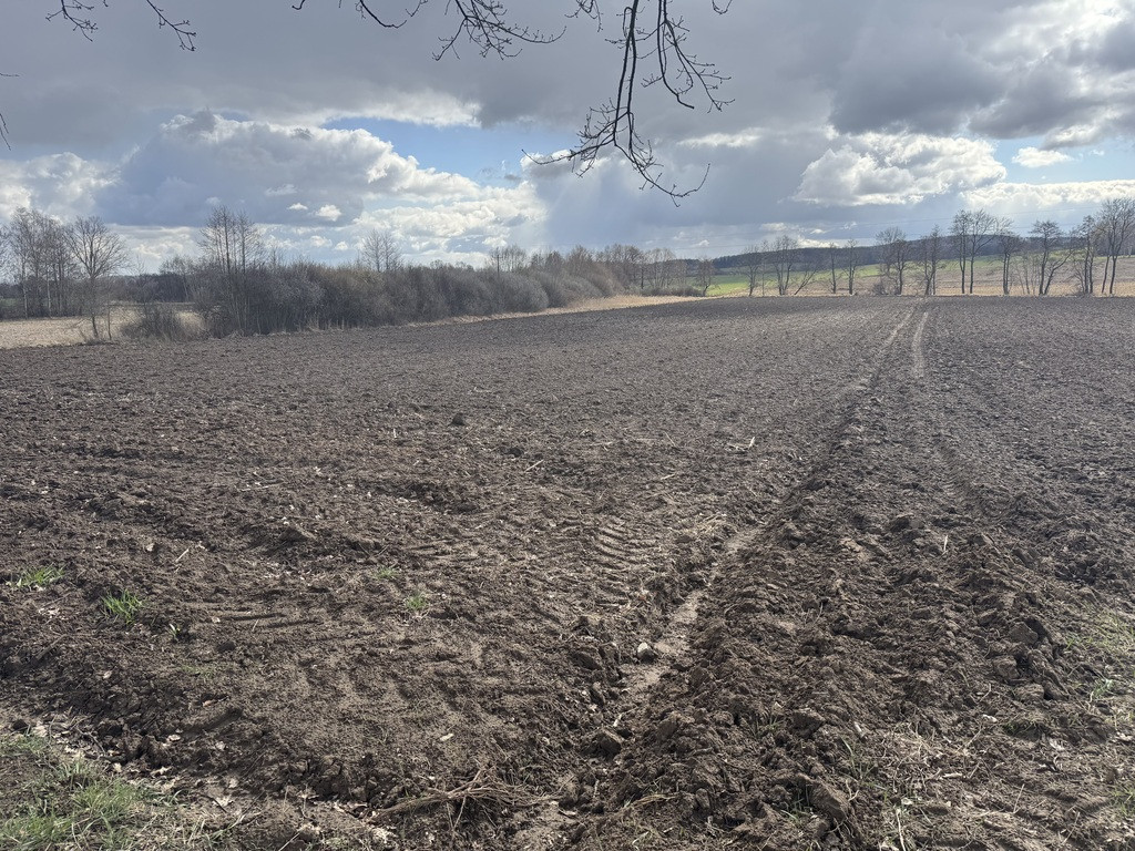 Działka rolna 0,56ha Słupice - Widok 5