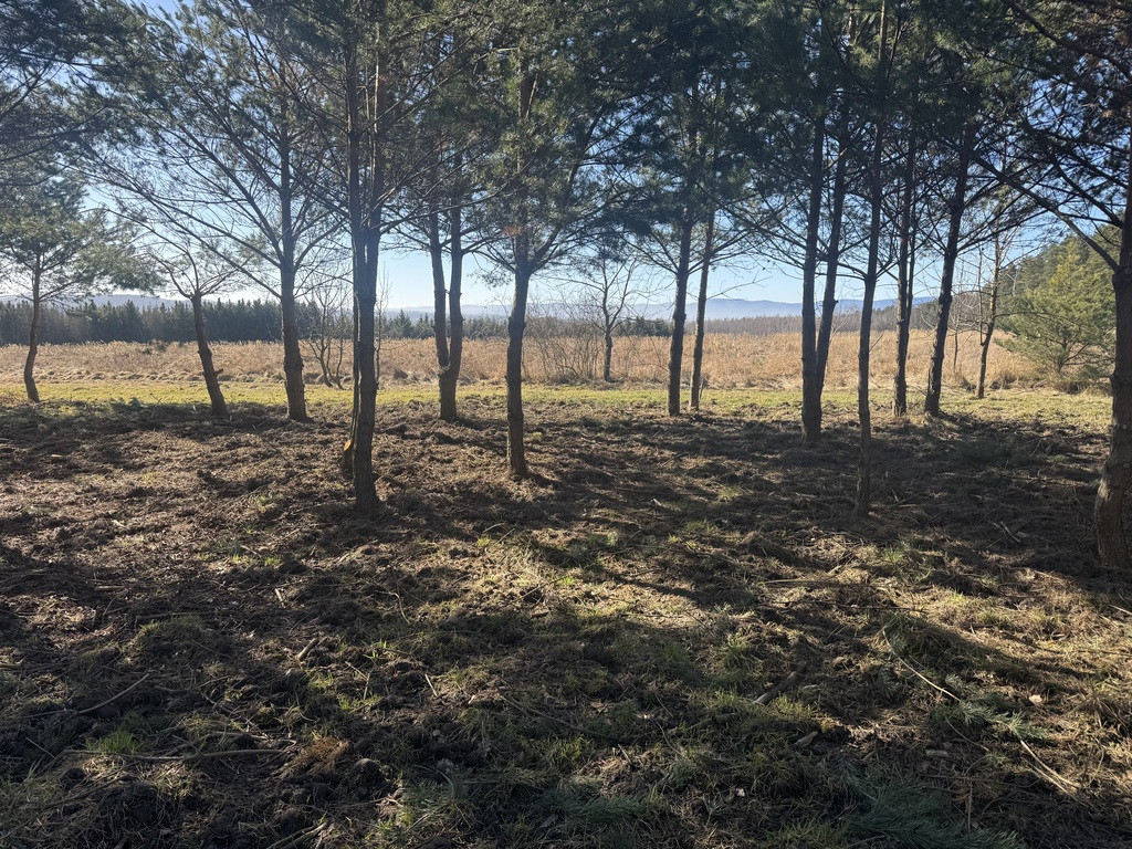 Działki budowlane 2038 m² (ML), Słupice - Widok 2