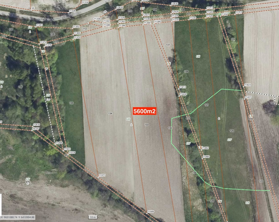 Działka rolna 0,56ha Słupice - Widok 2