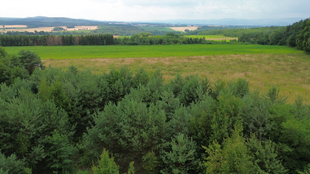 Działki budowlane 2038 m² (ML), Słupice - Widok 3
