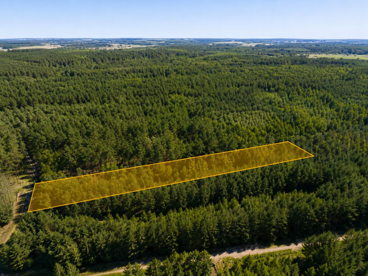 Działki w Rudniku Małym/Santi Nieruchomości - Widok 5