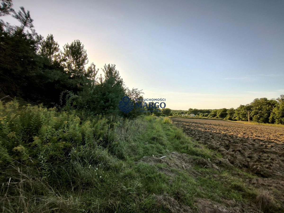 DUŻY, ZADRZEWIONY TEREN W MORZĘCINIE MAŁYM – 5409 m² - Widok 4