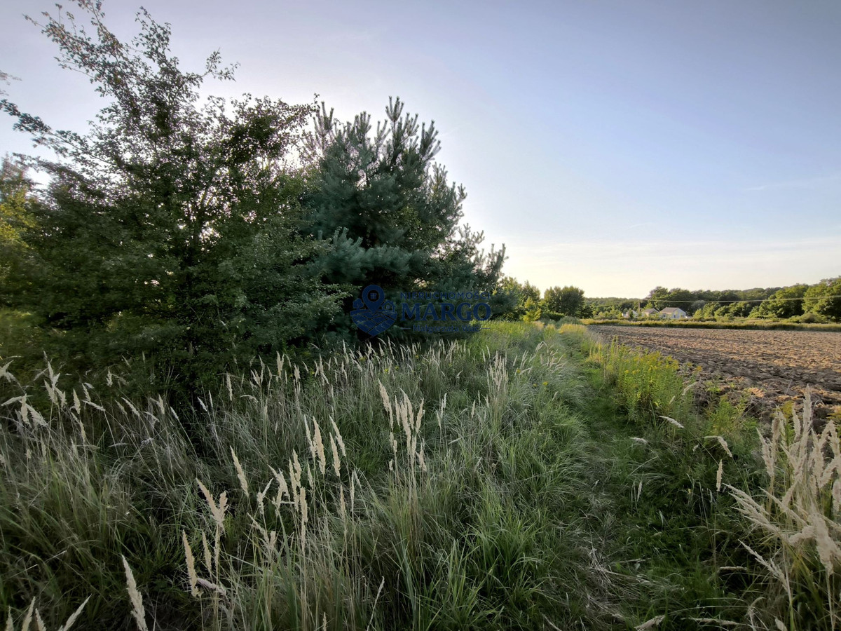DUŻY, ZADRZEWIONY TEREN W MORZĘCINIE MAŁYM – 5409 m² - Widok 2