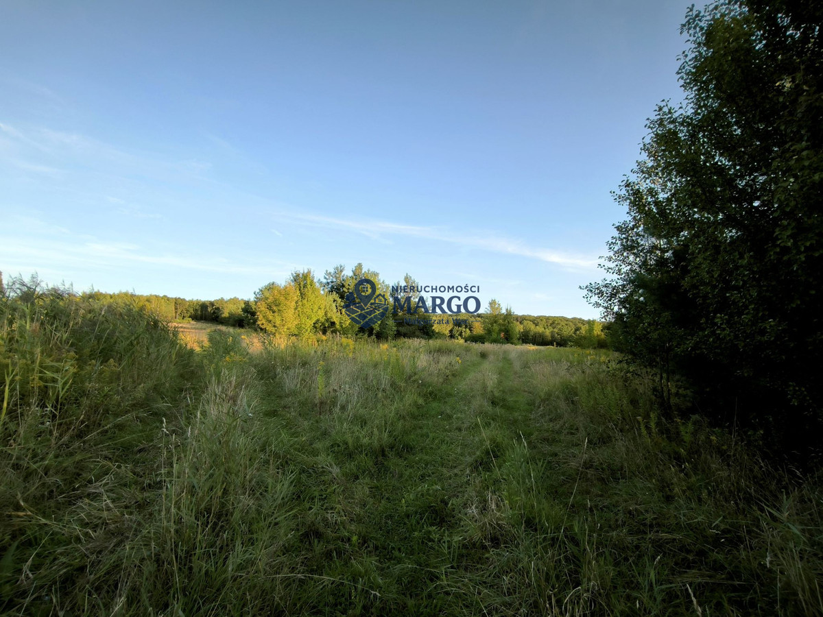 DUŻY, ZADRZEWIONY TEREN W MORZĘCINIE MAŁYM – 5409 m² - Więcej