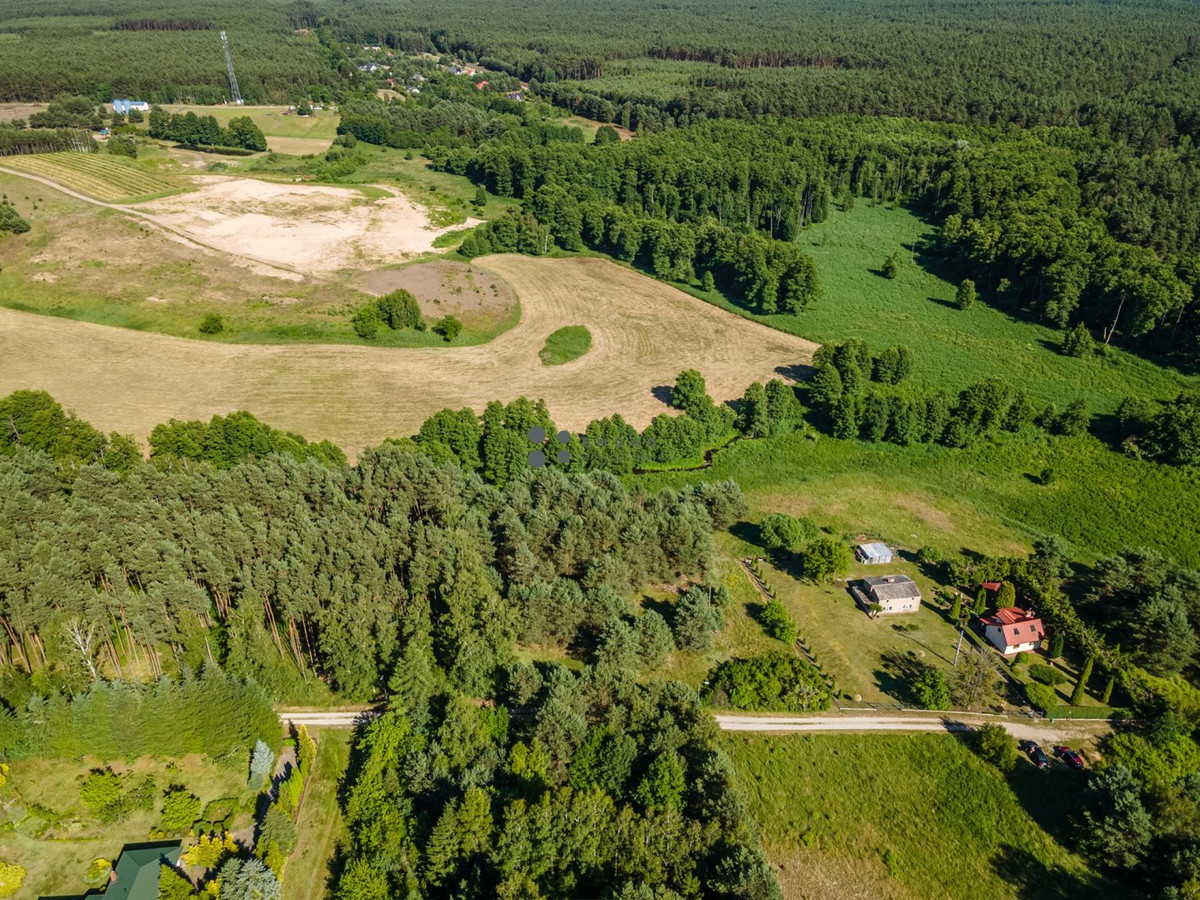 Bożenkowo | z własnym lasem | strumyk - Więcej