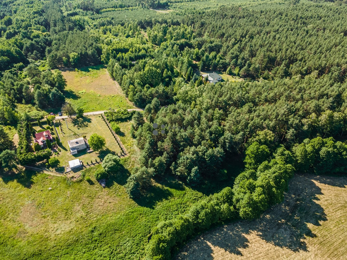 Bożenkowo | z własnym lasem | strumyk - Widok 5
