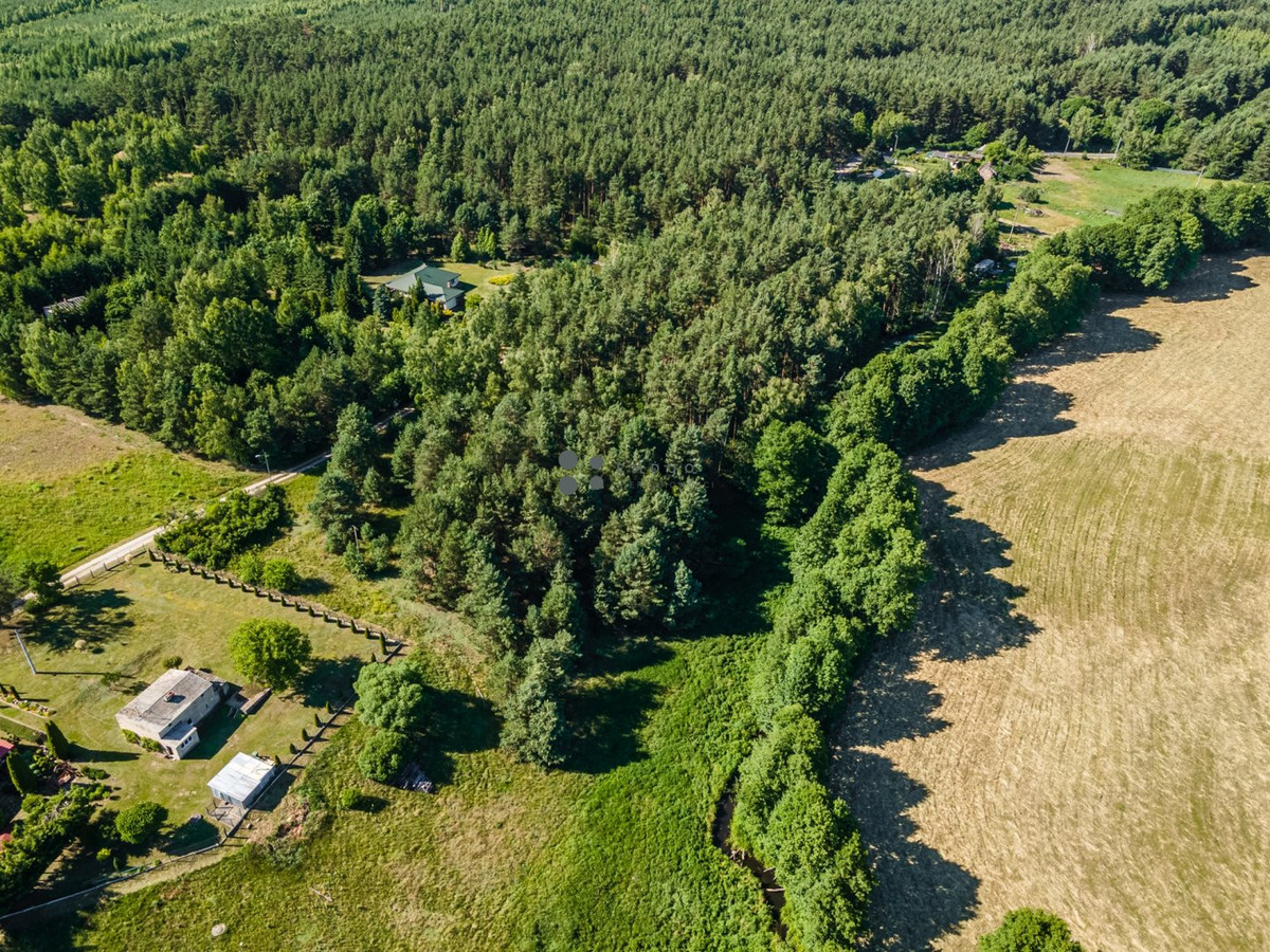 Bożenkowo | z własnym lasem | strumyk - Widok 4