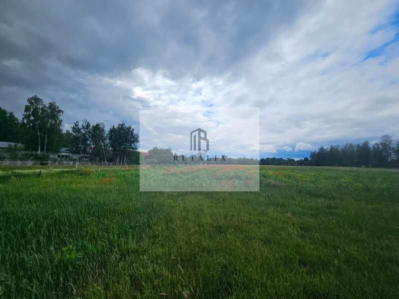 Działka Kozerki 1250 m² - Widok 2