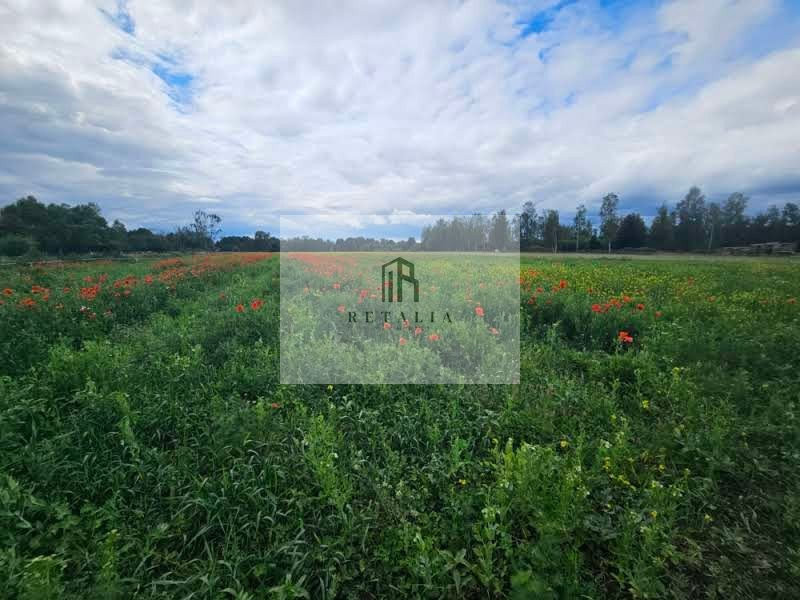 Działka Kozerki 1250 m² - Więcej