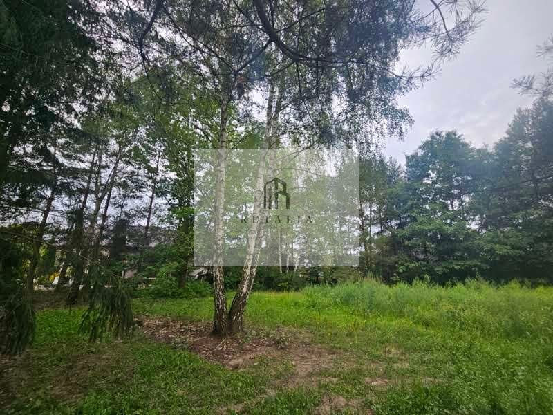Żółwin działka 2500 m², pełne media, MPZP - Widok 3